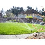 Spray Hunter Pros-04 Sprinkler, 10 Cm